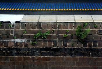 �����ľ���Ƶ������³�����е���ʳƷ�ѷ� ��Ԯ��Ա�û�ˮ����(ͼ)...